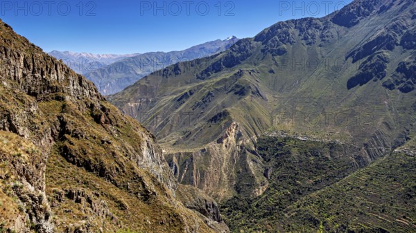 Extensive mountain landscape with green hills under sunny skies, the landscape of Colca Canyon in the Aden of Peru