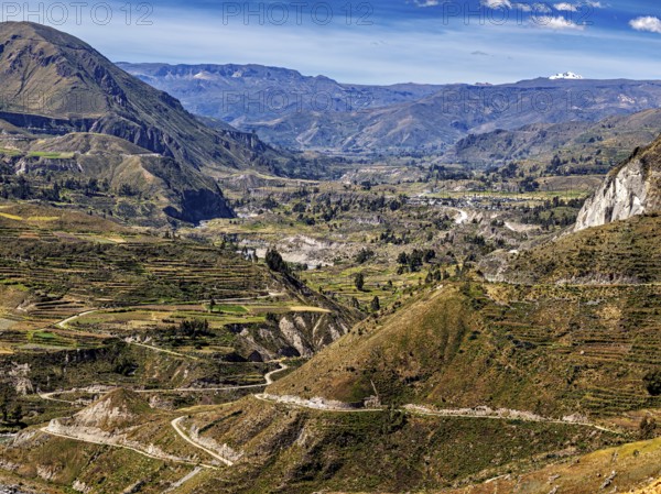 Mountainous scenery with river valley and terraced fields, the landscape of the Colca Canyon in the Aden of Peru