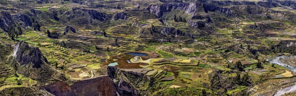 Terraced areas in a hilly landscape with flowing waters, The landscape of the Colca Canyon in the Aden of Peru