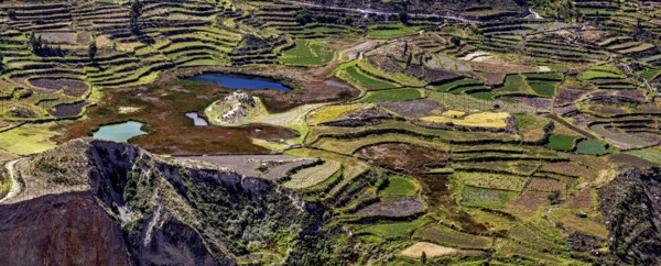 Diversity of terraced fields with small lakes in hilly areas, the landscape of the Colca Canyon in the Aden of Peru