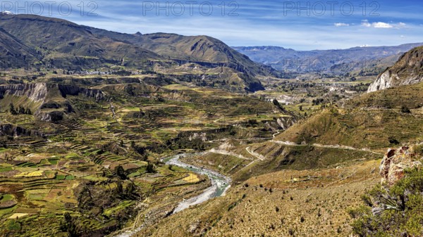 Extensive terraced valleys with towering mountains and a river, the landscape of the Colca Canyon in the Aden of Peru