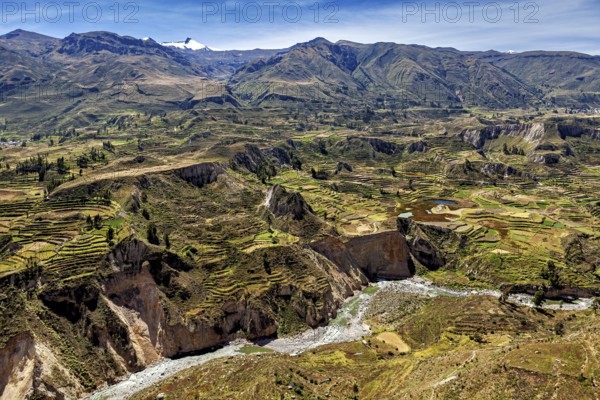 Landscape with terraced fields, river and mountainous surroundings, The landscape of Colca Canyon in the Aden of Peru