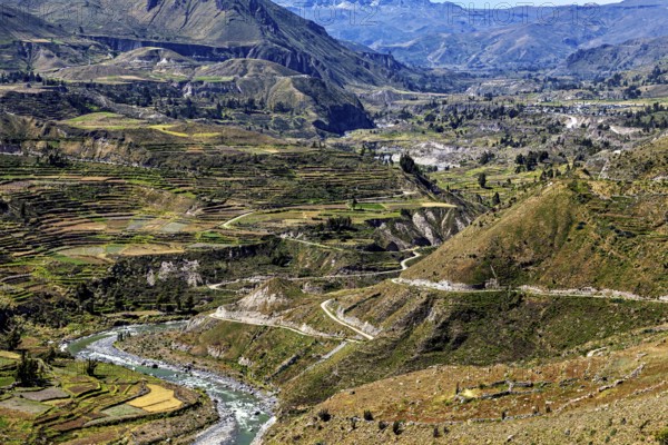 Wide views of terraced hills and flowing river, the landscape of Colca Canyon in the Aden of Peru