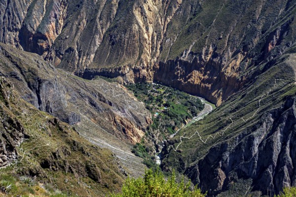 Dramatic gorge with lush greenery in the valley floor surrounded by steep cliffs and hiking trails, The landscape of Colca Canyon in the Aden of Peru