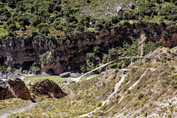 Wooden bridge across river in an overgrown valley surrounded by rocks and thick greenery, The landscape of Colca Canyon in the Aden of Peru