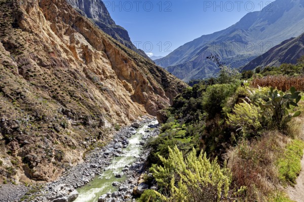 View of a river flowing through a rocky gorge between steep mountains, The landscape of Colca Canyon in the Aden of Peru