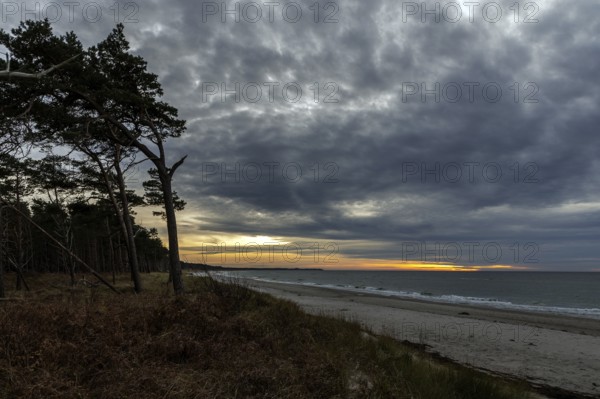 Dramatic clouds, evening light, sunset, Weststrand Darß, Baltic Sea, Fischland-Darß-Zingst, Western Pomerania Lagoon Area National Park, Mecklenburg-Western Pomerania, Germany