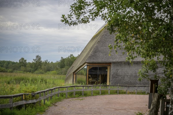 Naturum Nature Conservation Information Center at Vogelsee Tåkern, modern building with pitched roof made entirely of reed thatch next to a large reed tree, Tåkern, Vadstena, Östergötalands Län, Sweden