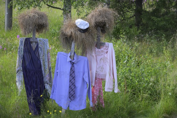 Artwork outdoor installation The silent people of Reijo Kela Straw dolls wear colorful clothes in a field at the edge of the forest, Suomussalmi, Kainuu, Finland