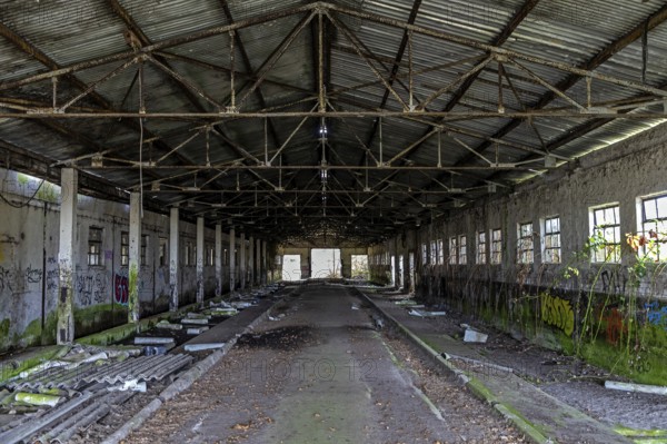 Abandoned hall with Grafity, dilapidated plant of a former agricultural production cooperative of the former GDR, LPG, Lost Place, Müggenburg, Fischland-Darß-Zingst, Western Pomerania National Park, Mecklenburg-Western Pomerania, Germany