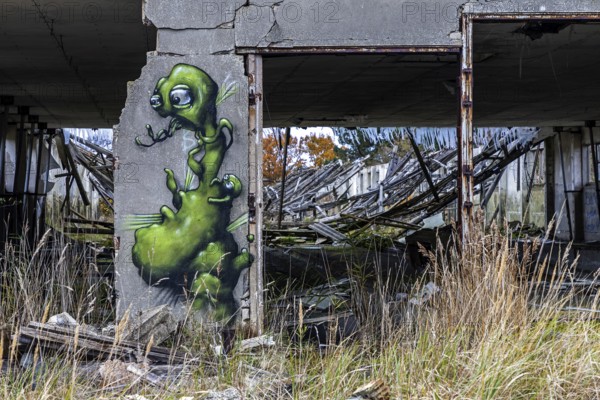 Dilapidated hall with gravity of the dilapidated plant of a former agricultural production cooperative of the former GDR, LPG, Lost Place, Müggenburg, Fischland-Darß-Zingst, Western Pomerania National Park, Mecklenburg-Western Pomerania, Germany