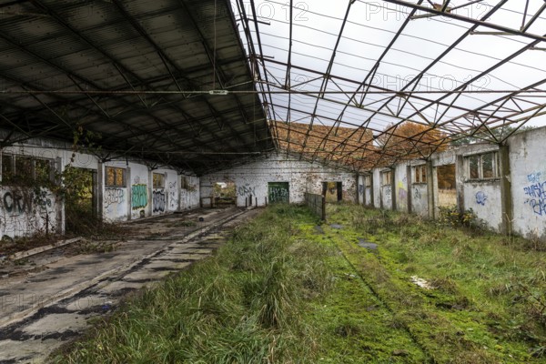 Former hall, dilapidated plant of a former agricultural production cooperative of the former GDR, LPG, Lost Place, Müggenburg, Fischland-Darss-Zingst, Western Pomerania Lagoon Area National Park, Mecklenburg-Western Pomerania, Germany