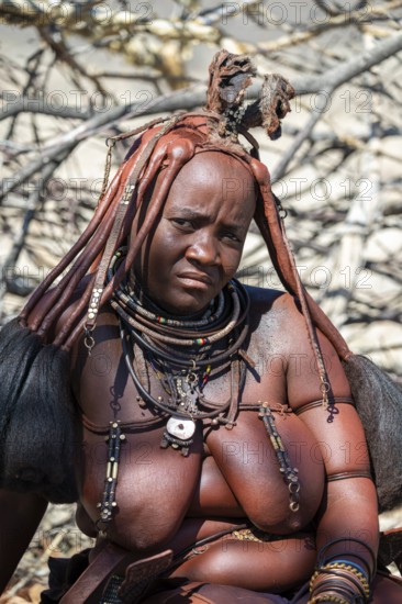 Himba woman, portrait, traditional Himba village, Kaokoveld, Kunene, Namibia
