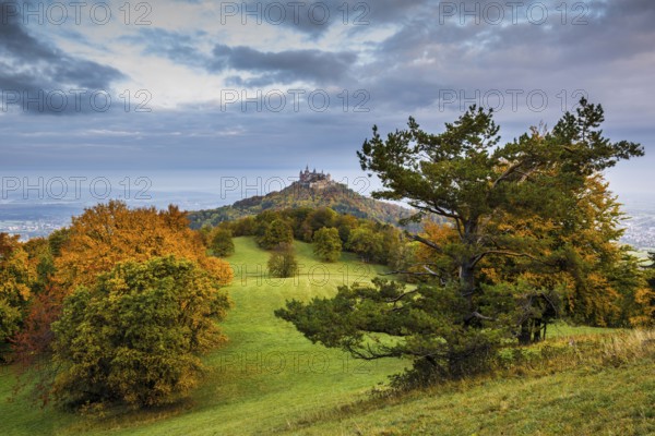 Castle and autumnal forest, Hohenzollern Castle, Hechingen, Swabian Jura, Baden-Württemberg, Germany