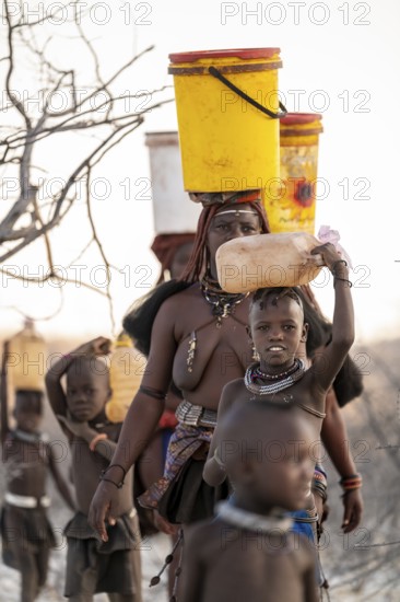 Himba woman fetching water, heavy water bucket on their heads, traditional Himba, Kaokoveld, Kunene, Namibia
