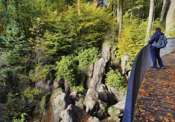 Sea of rocks in autumn, Hemer, Sauerland, North Rhine-Westphalia, Germany
