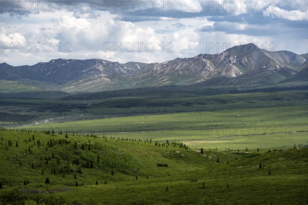 Tundra and mountain landscape with dramatic cloudy sky, Denali National Park, Alaska, USA