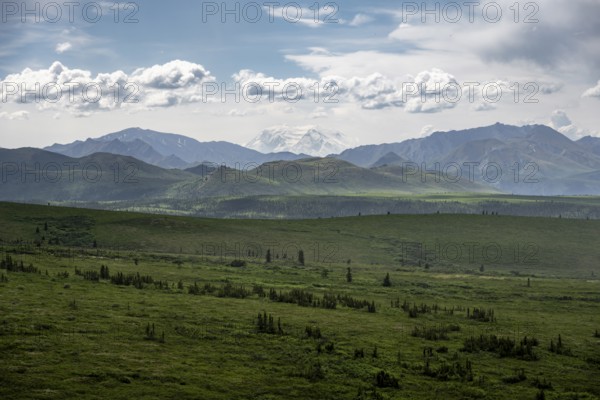 Tundra and glaciated peak of Denali or Mount McKinley, mountainous landscape, Denali National Park, Alaska, USA