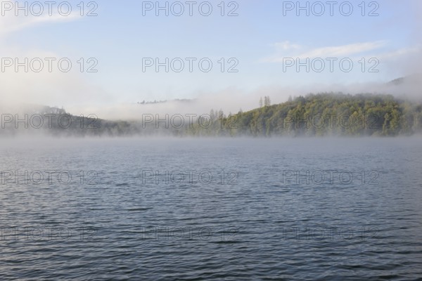 Hennesee, morning fog, blue sky, Hennetalsperre, Sauerland-Rothaargebirge nature park Park, North Rhine-Westphalia, Germany