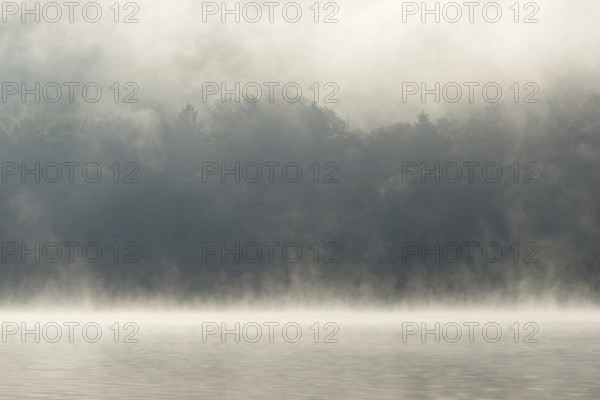 Hennesee, fog, rising clouds of fog, Hennetalsperre, Sauerland-Rothaargebirge nature park Park, North Rhine-Westphalia, Germany