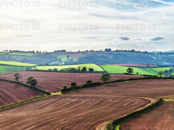 Colours of Devon Farms and Fields over Paignton and Berry Pomeroy from a drone, Totnes, England, United Kingdom