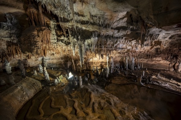Stalactites and stalagmites, rock formations in a stalactite cave with water basin, Grotta del Fico, Gulf of Orosei, Baunei, Sardinia, Italy