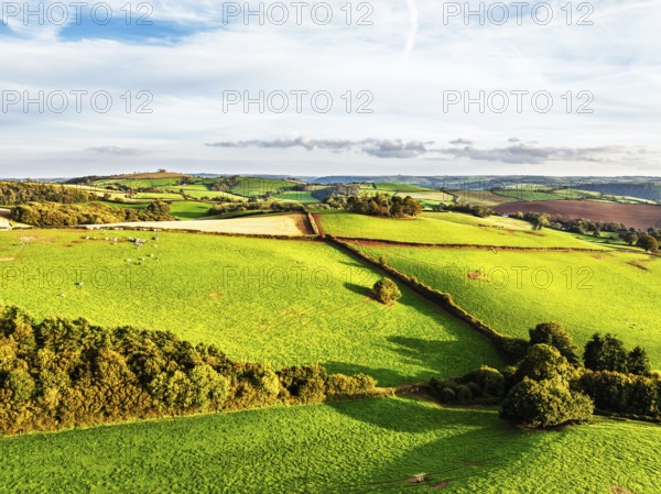 Colours of Devon Farms and Fields over Berry Pomeroy from a drone, Totnes, England, United Kingdom