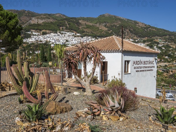 Cactus y Otras Suculentas 'Mora i Bravard', Botanical Garden, Botanic garden, cactus collection, village Casarabonela, Andalusia, Spain