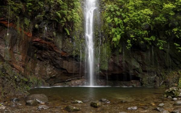 Cascata das 25 Fontes river and waterfall, 25 springs, hiking trail PR6, Levada das 25 Fontes, laurel forest, Rabacal Nature Reserve, Madeira, Portugal