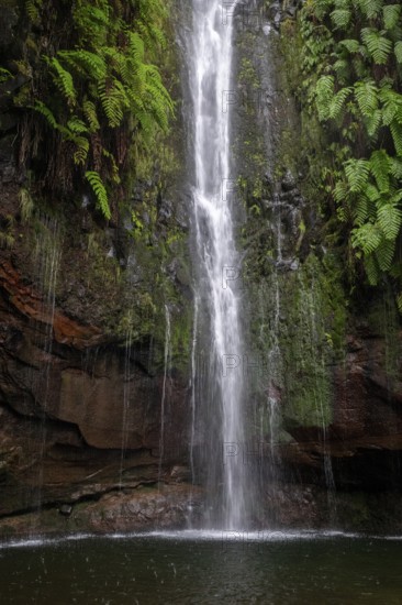 Cascata das 25 Fontes river and waterfall, 25 springs, hiking trail PR6, Levada das 25 Fontes, laurel forest, Rabacal Nature Reserve, Madeira, Portugal