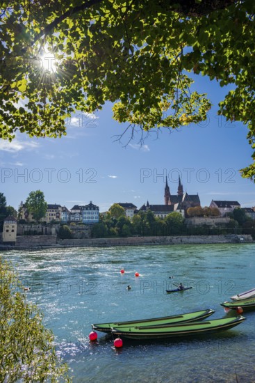The Rhine with rowing boats in the sunshine in the late afternoon, Basel
