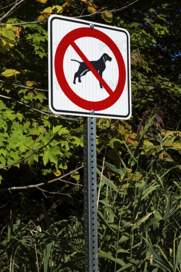 Posted white, red and black pictogram sign warning that dogs are not allowed or forbidden in public park, Quebec, Canada