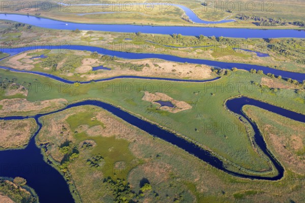 Aerial view over the Oder river in the German-Polish nature reserve Lower Oder Valley International Park, Uckermark district, Brandenburg, Germany