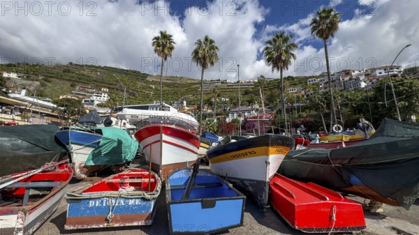 Camera de Lobos fishing village, harbour with fishing boats, Madeira, Portugal