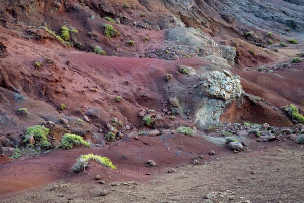 Volcanic soil, colorful soil, red, erosion, near Miradouro da Ponta do Rosto, Madeira, Portugal