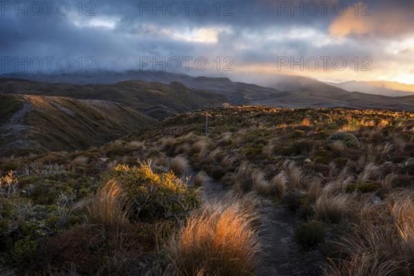Volcanic landscape, Tama Lake Walk (Tama Lakes Track), evening light, sunset. Tongariro National Park, North Island, New Zealand