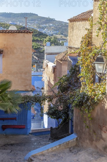 MAR, Chefchaouen, Medina