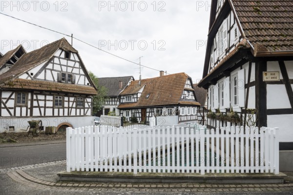 Village made entirely of half-timbered houses, Hunspach, Alsace, Bas-Rhin department, France
