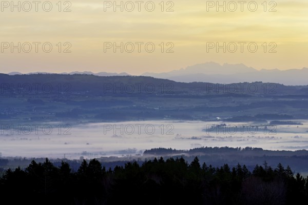 View from Horben of the Reuss Valley covered in fog, behind it the Alpstein with the Säntis in the light of the rising sun, Beinwil-Freiamt, Canton, Aargau, Switzerland