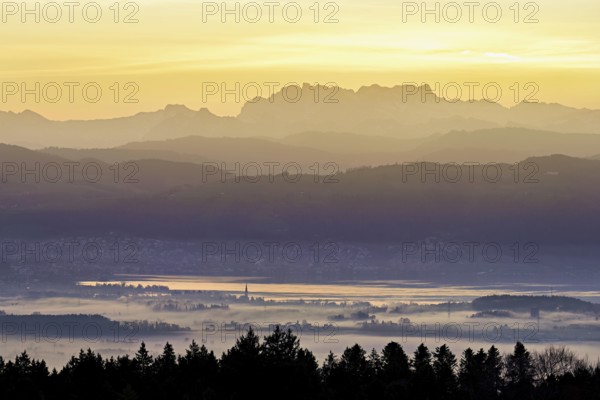 View from Horben of Lake Zug with the city of Cham and Zug covered in fog, behind it the snow-capped mountains Flübrig and Vrenelisgärtli in the light of the rising sun, Beinwil-Freiamt, Canton, Aargau, Switzerland