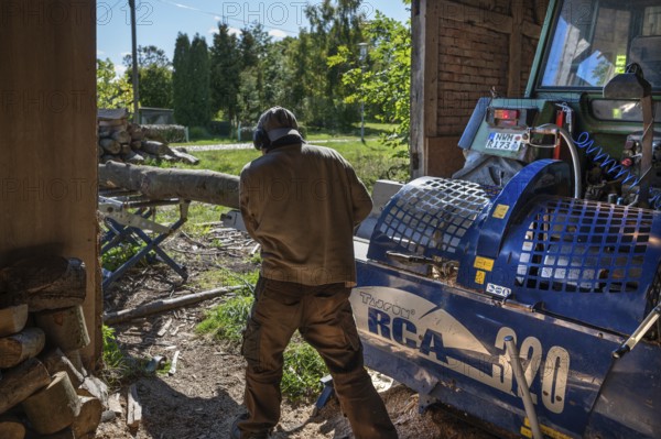 Young man sawing and splitting beech logs with his saw cutting machine, powered by a tractor in a barn, Othenstorf, Meckleburg-Vorpommern, Germany