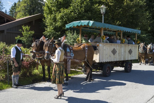 Decorated horses with carriage, horse team, parade at Tegernsee, Rosstag, Rottach-Egern, Upper Bavaria, Bavaria, Germany