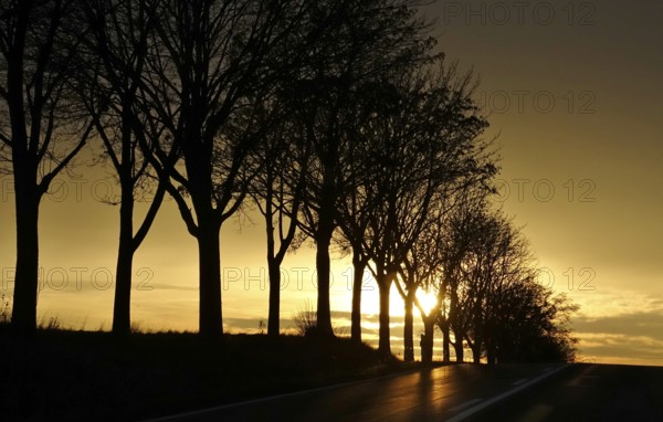 Street in late autumn, sunset, Germany