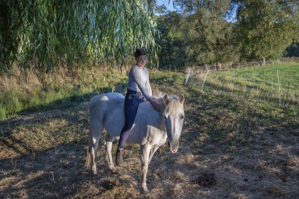 Young girl sitting on her white mare under a willow (Salix), Othenstorf, Mecklenburg-Western Pomerania, Germany