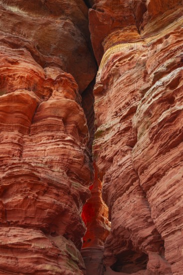 Evening rock glowing in spring at Altschloßfelsen in Eppenbrunn Palatinate, Germany