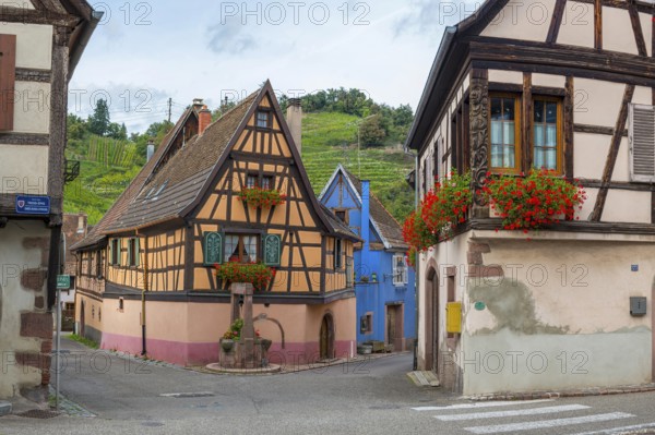 Half-timbered houses passing through Niedermorschwihr, Ellsass