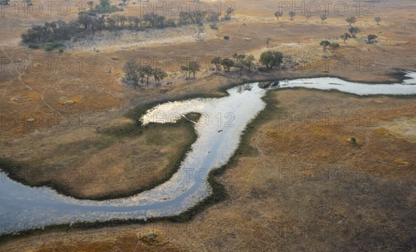 Wetland, landscape, aerial view of the Okavango Delta, near Maun, Okavango Delta, Botswana