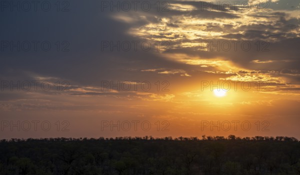 Impressive sunset over the African savanna, silhouette of the horizon with trees in front of the sun, at Halali waterhole, Etosha National Park, Namibia
