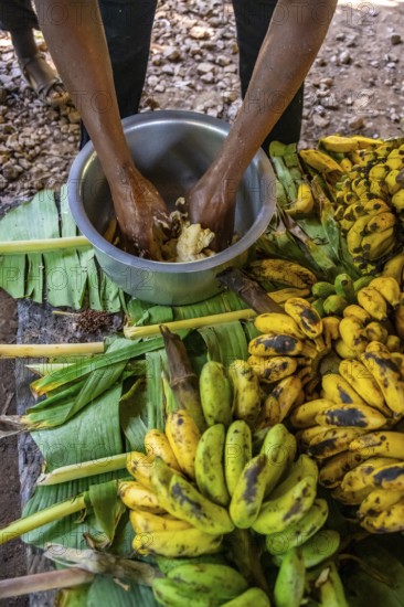 Local man, production of banana juice and banana schnapps, banana plantation, near Fort Portal, Uganda