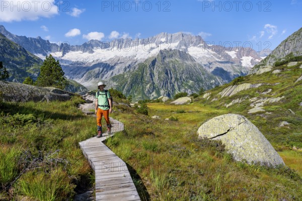 Mountaineers on wooden plank trail through mountain moor, in front of picturesque mountain scenery, Dammastock and Damma glaciers, Göscheneralp, Canton of Uri, Switzerland